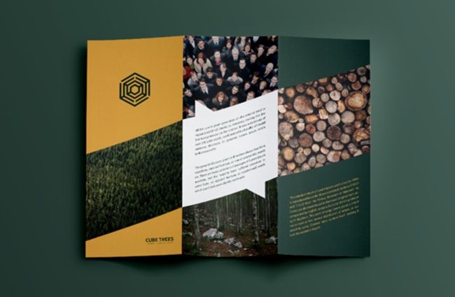 paulownia flyerdesign