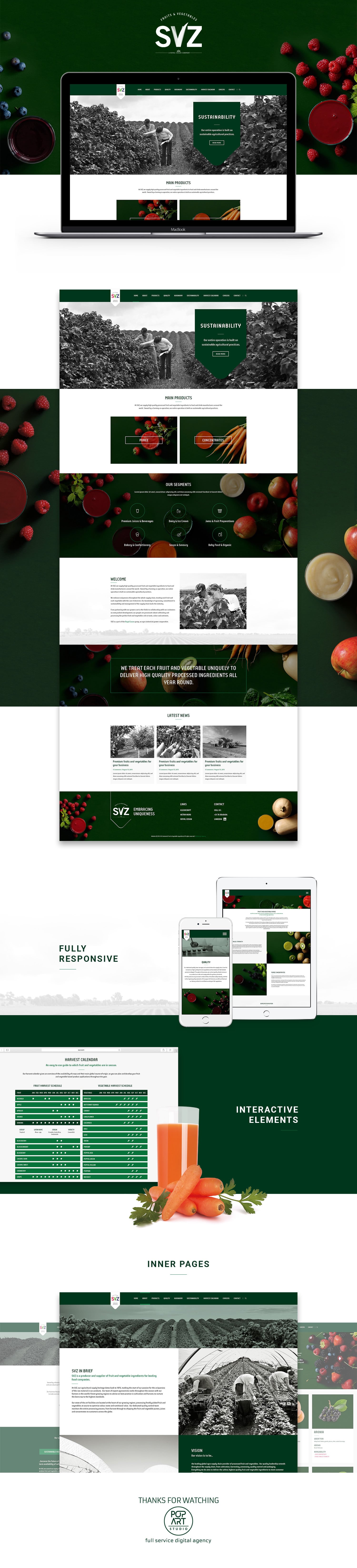 Webdesign- und Webdevelopment SVZ Holland