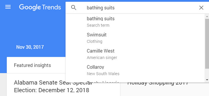 bathing suit googletrends