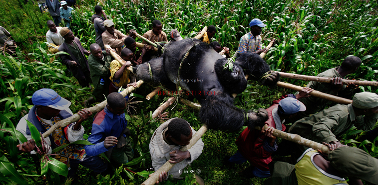 Brent Stirton