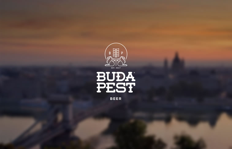 bier verpackungsdesign budapest4